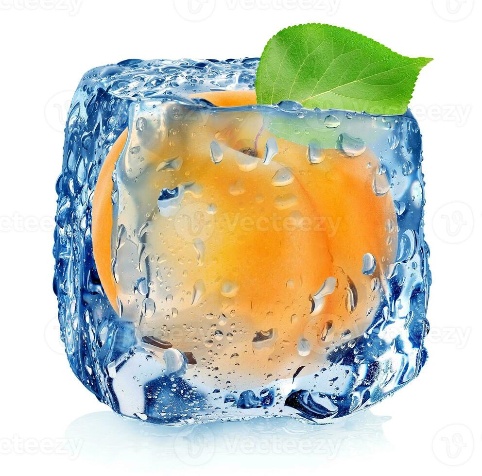 Apricot in ice cube photo
