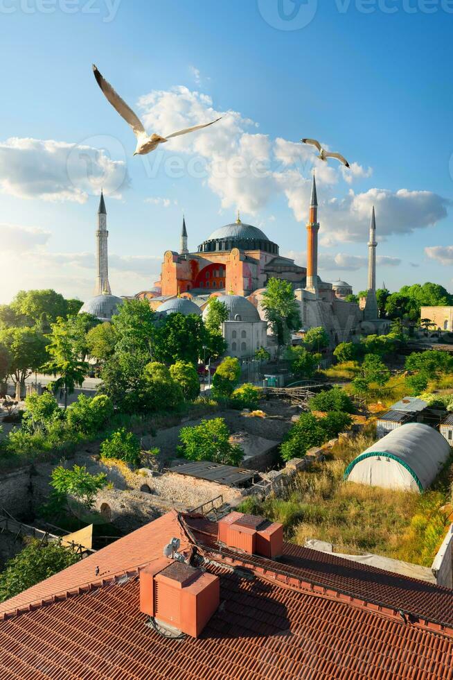 Istanbul at sunny day photo