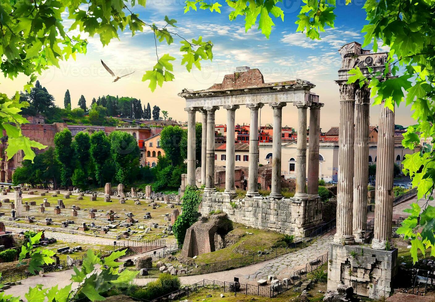 Roman Forum Italy photo