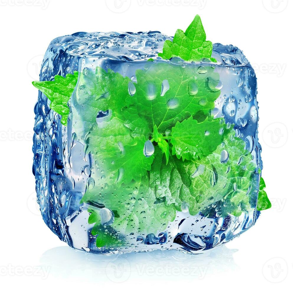 menta en hielo cubo foto