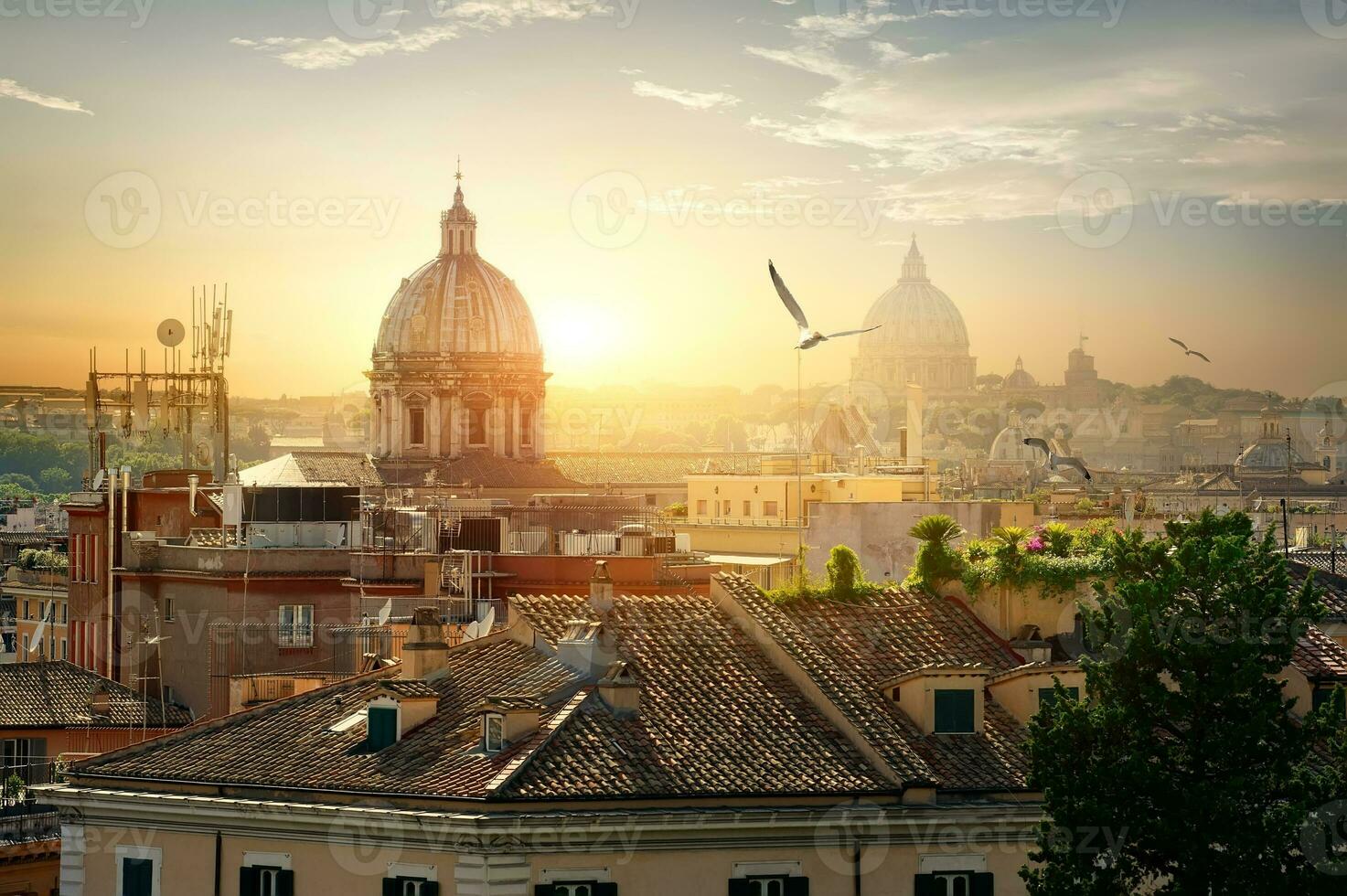 Domes of Rome photo
