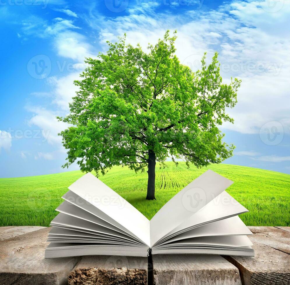 Tree and book photo