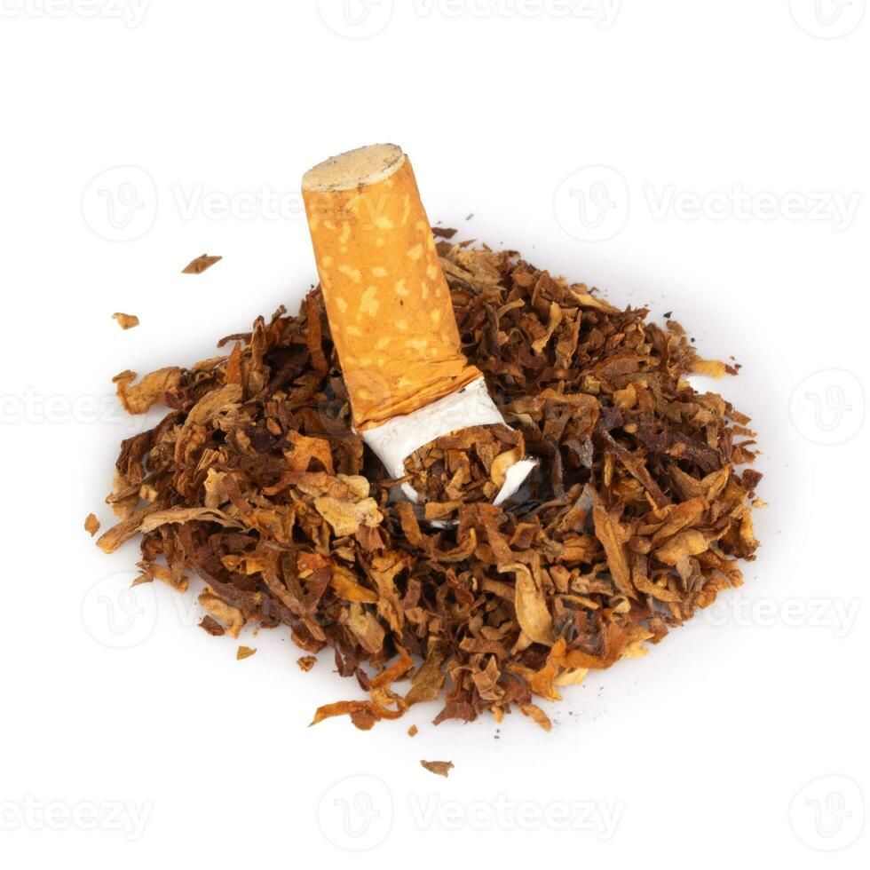 tabaco hojas cigarrillo campo de tiro al blanco aislado en blanco antecedentes foto