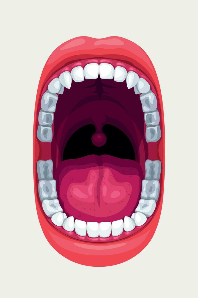 human mouth with smooth teeth on white vector