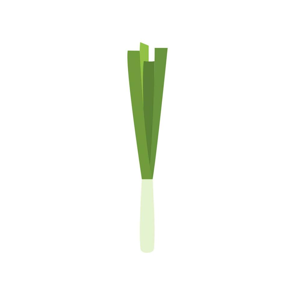 Green spring onions flat design vector illustration. Green onions, Allium. Salad onions, wild cherries, shallots, leeks, skoroda and Chinese onions. A herbaceous plant from the Onion family.