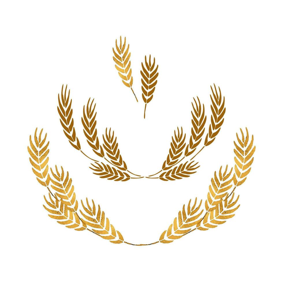 Wheat wreaths and grain spikes set garland. Isolated on white background. vector