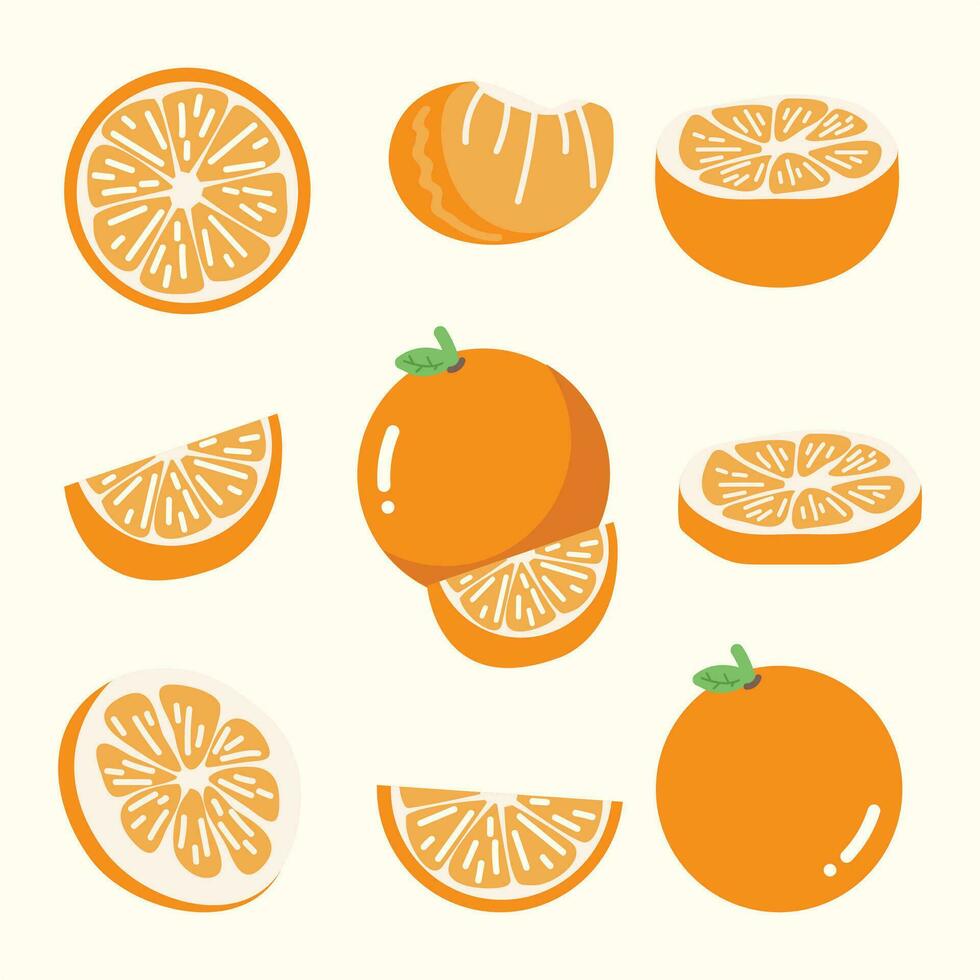Set of Fresh Orange fruit cartoon vector