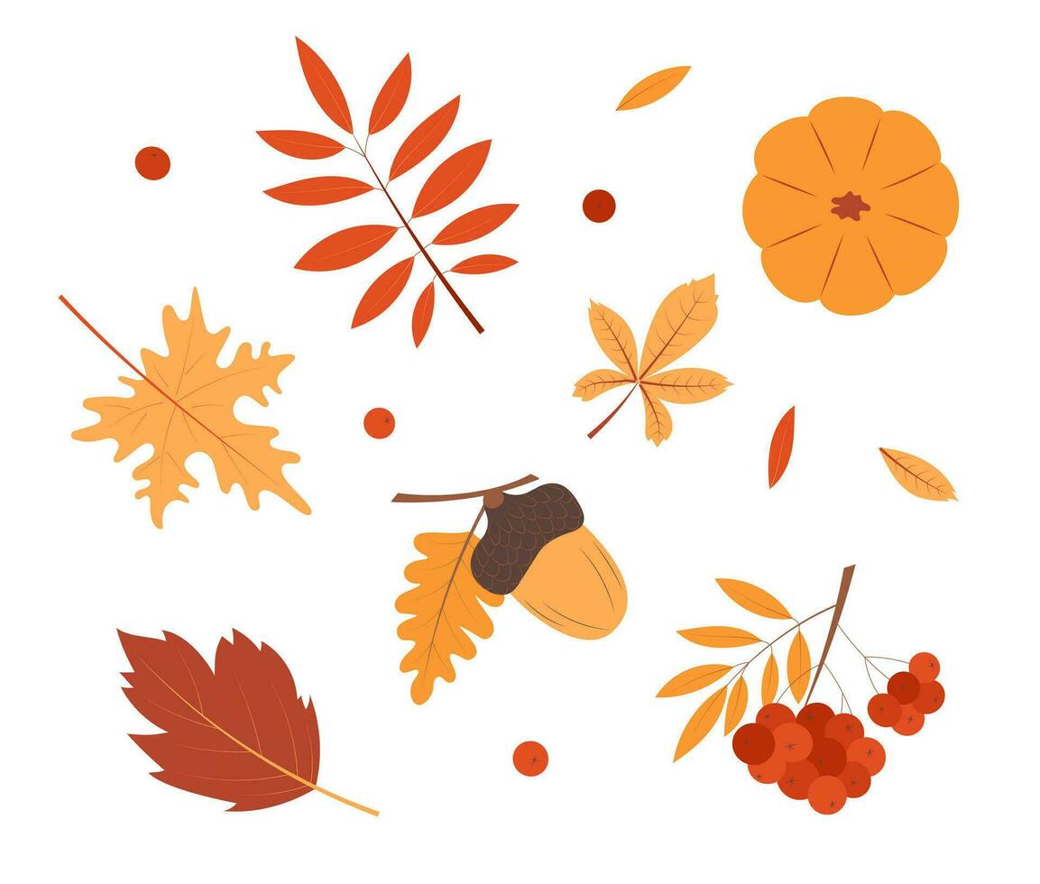 Set of autumn attributes. Elements for design. Vector illustration isolated on white background.