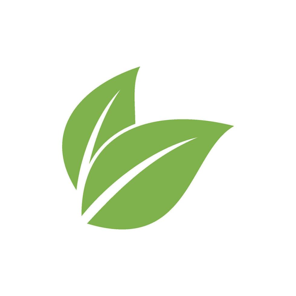 verde hoja vector, eco hojas spa logo modelo vector