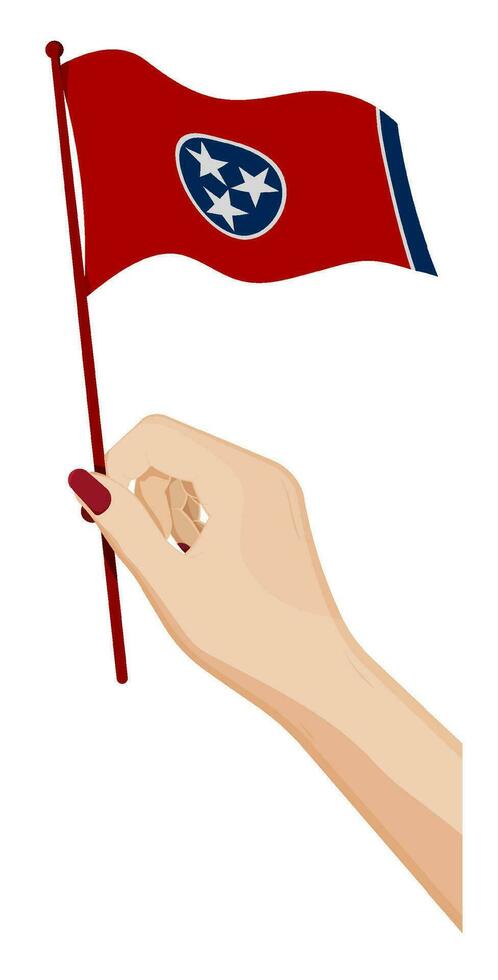 Female hand gently holds small flag of american state of Tennessee. Holiday design element. Cartoon vector on white background