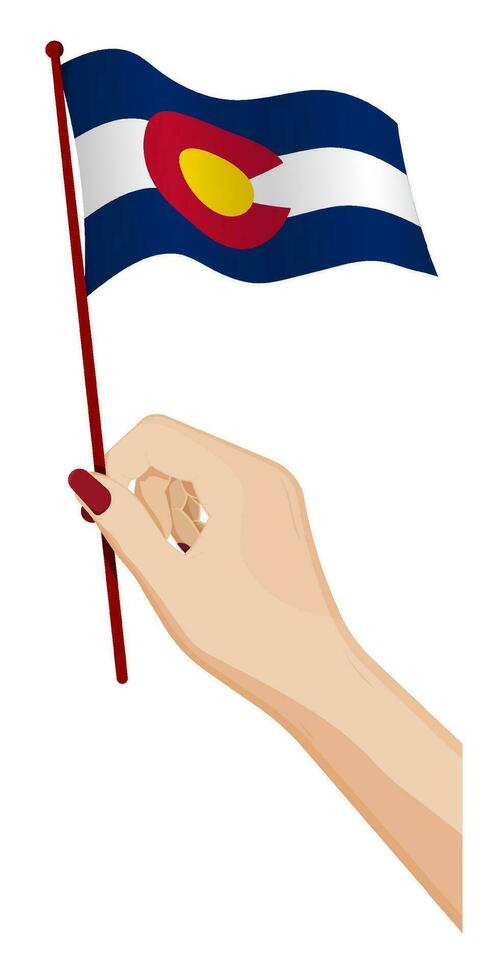 hembra mano suavemente sostiene pequeño bandera de americano estado de Colorado. fiesta diseño elemento. dibujos animados vector en blanco antecedentes