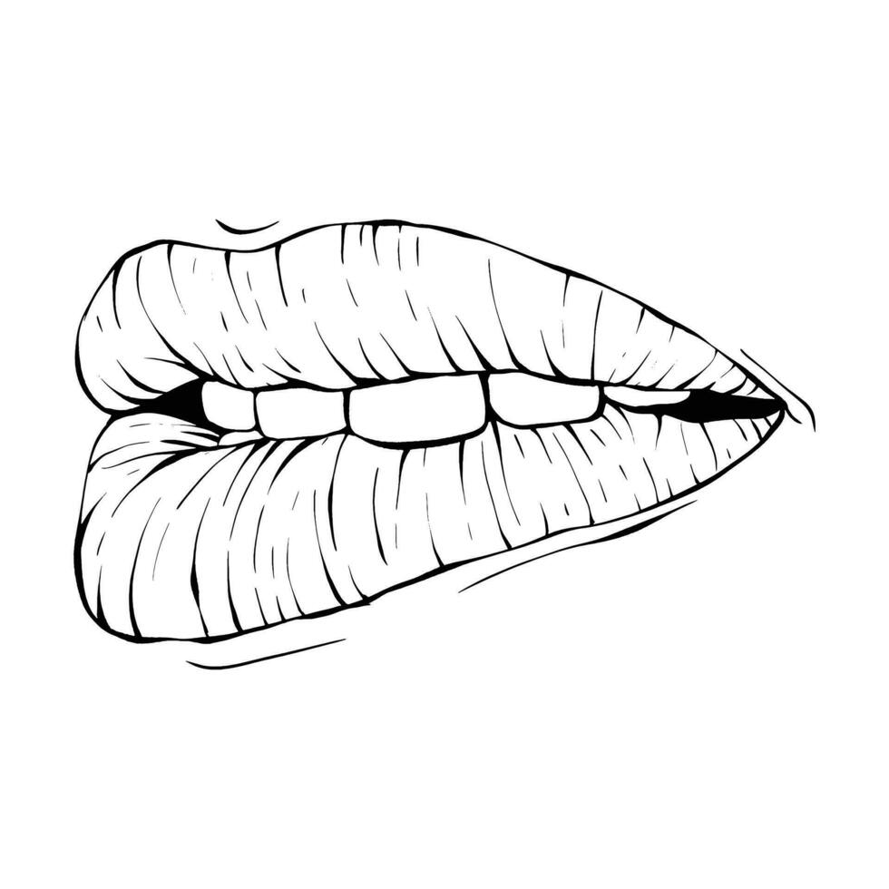 Vector lips sketch black and white
