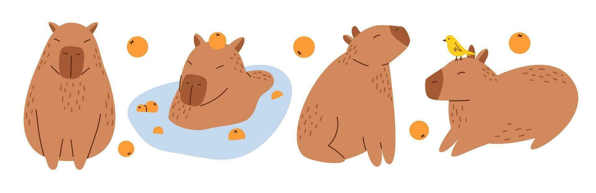 Vector collection of funny capybaras in flat design. Amusing set with capybara characters with oranges. Cute capybaras swimming in water and relaxing. South American adorable animals.