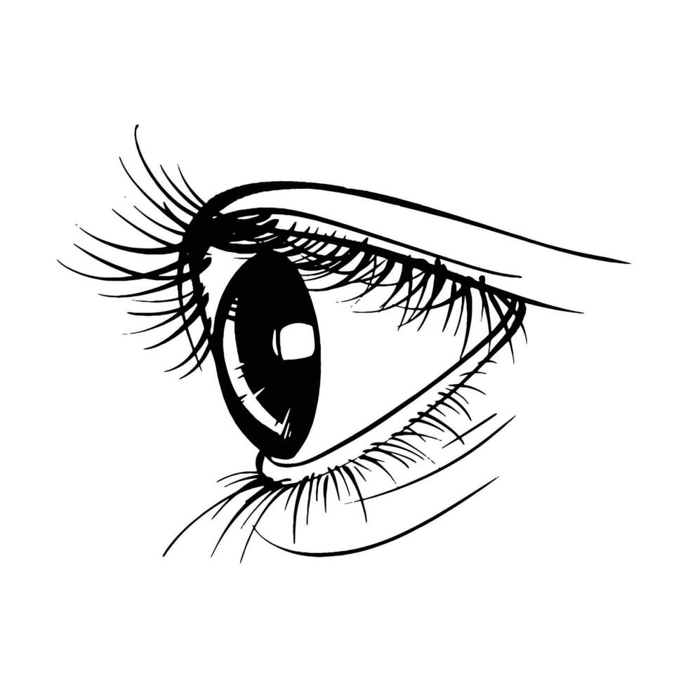 Hand drawn sketch eye vector