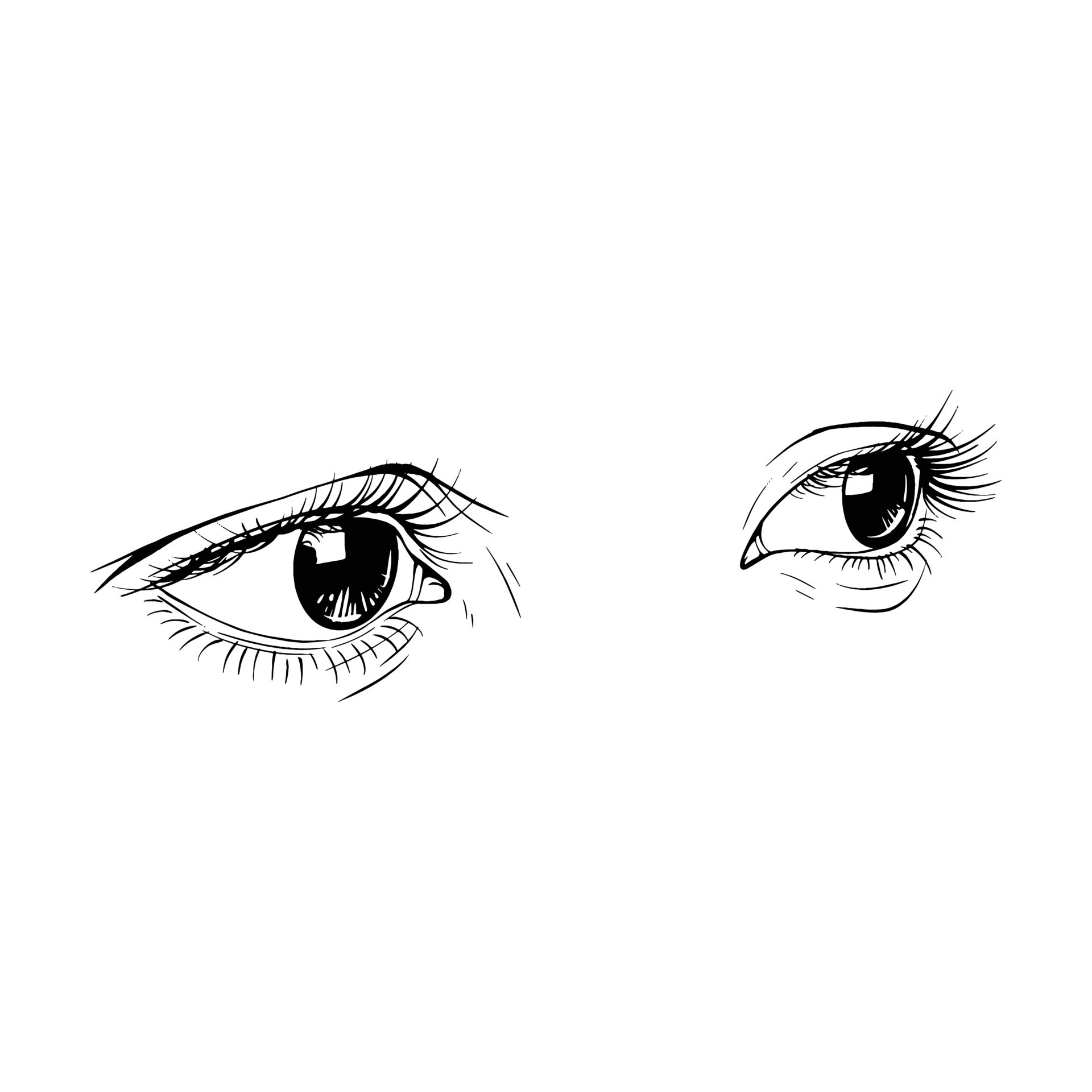 Ink Sketch Of Female Eyes And Eyebrows. Set Of Different Beautiful Eyes.  Black Outline Drawing On A White Background. Can Be Placed On Cosmetics  Packaging. Royalty Free SVG, Cliparts, Vectors, and Stock