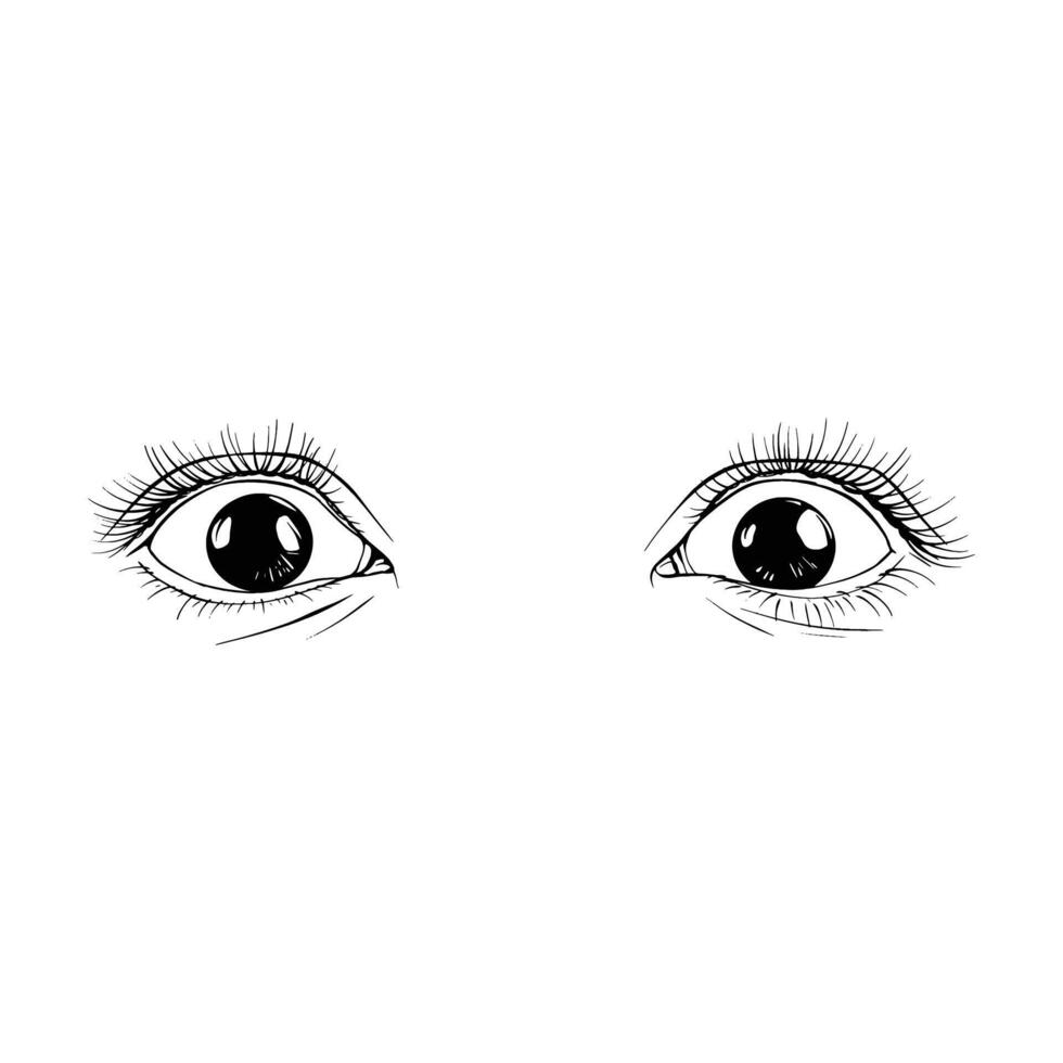 Hand drawn sketch female eyes vector