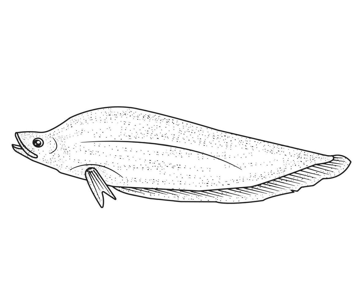 Fish Vector, Fish Black and White, Coloring Pages vector