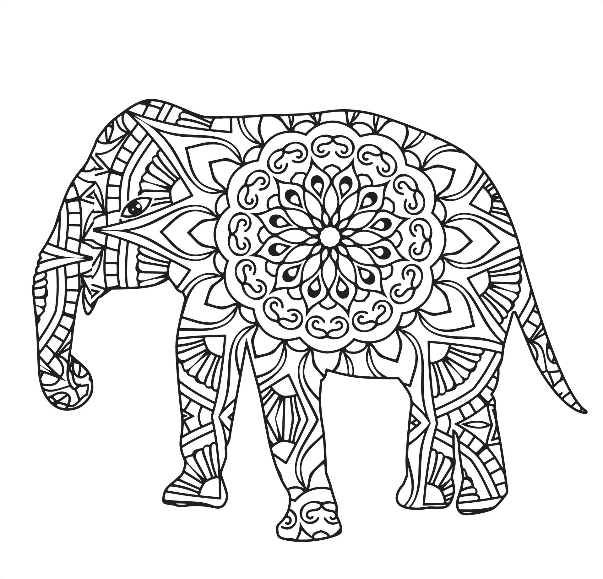 Elephant mandala coloring book, Indian elephant mandala, Ornate ...