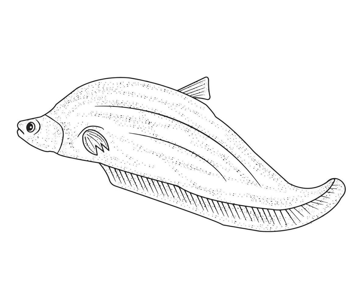 Fish Vector, Fish Black and White, Coloring Pages vector