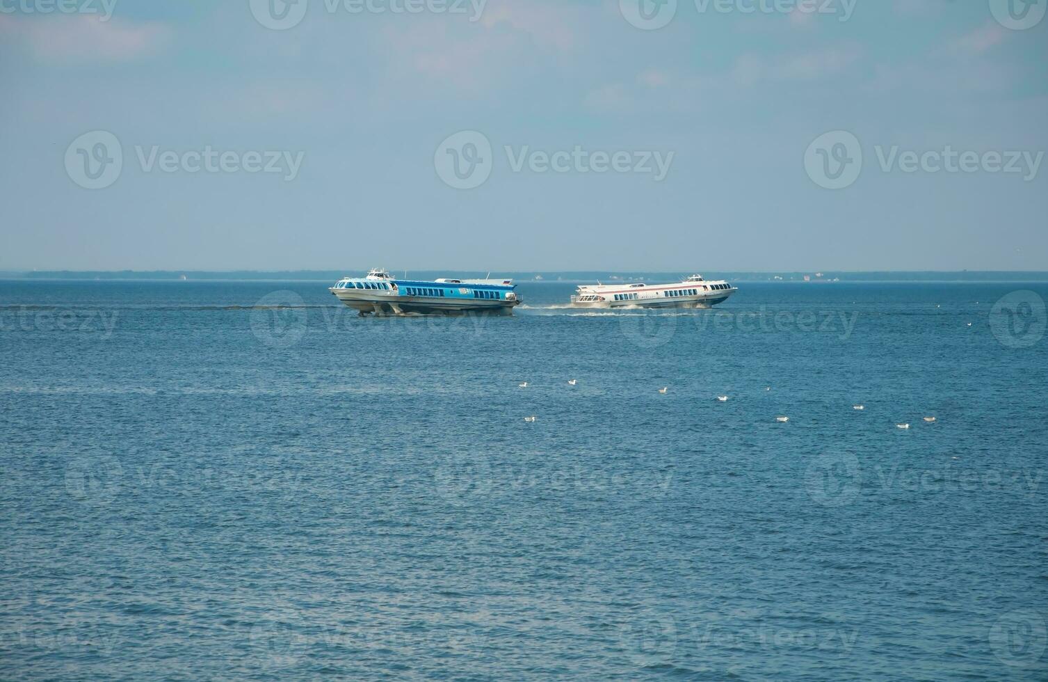 Meteor hydrofoil in the sea in Peterhof photo