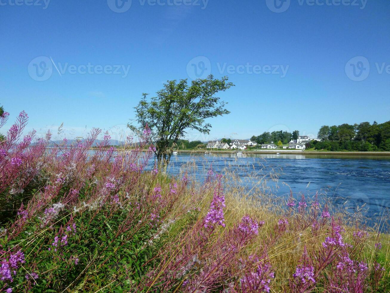 Falls of Lora in Connel photo