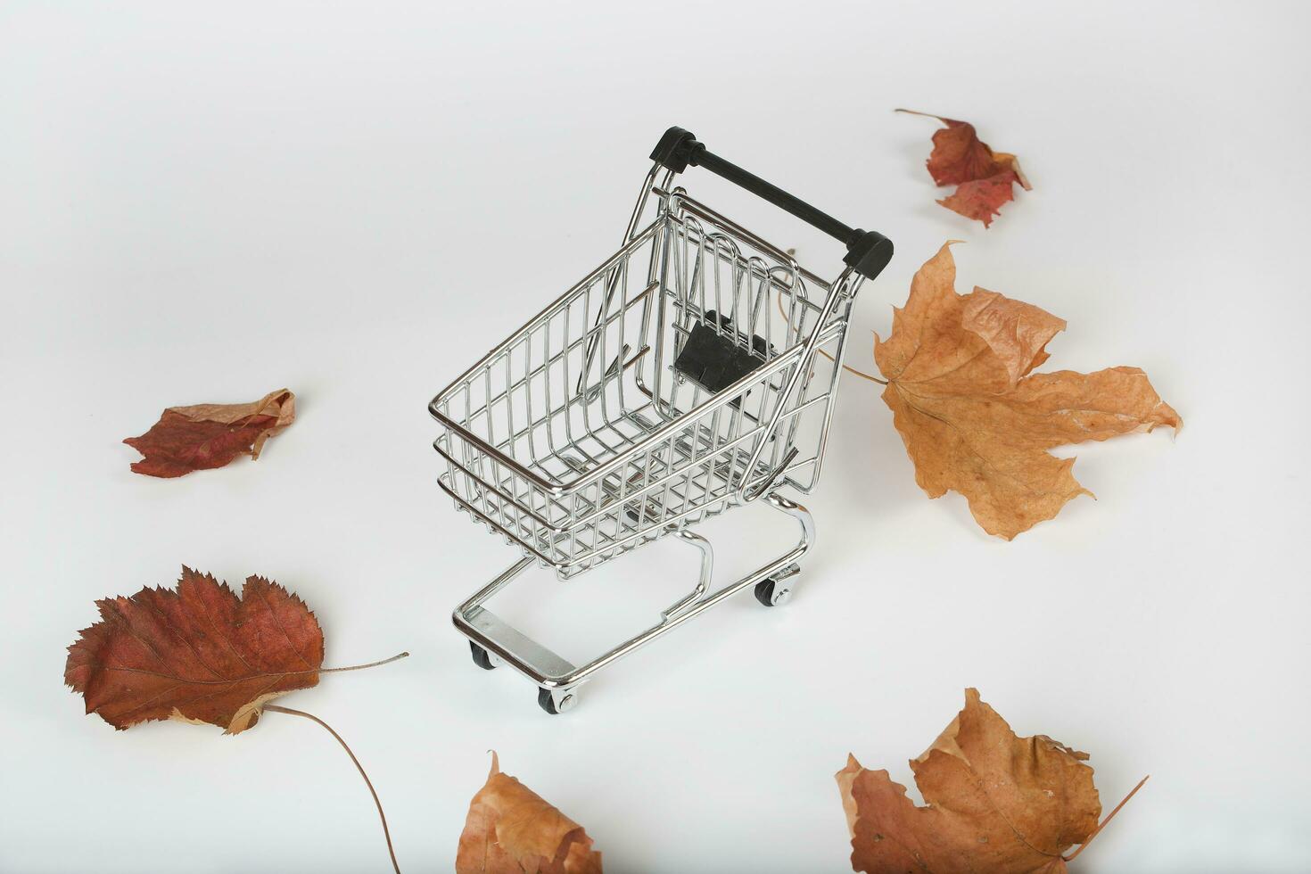 Shopping cart and leaves photo
