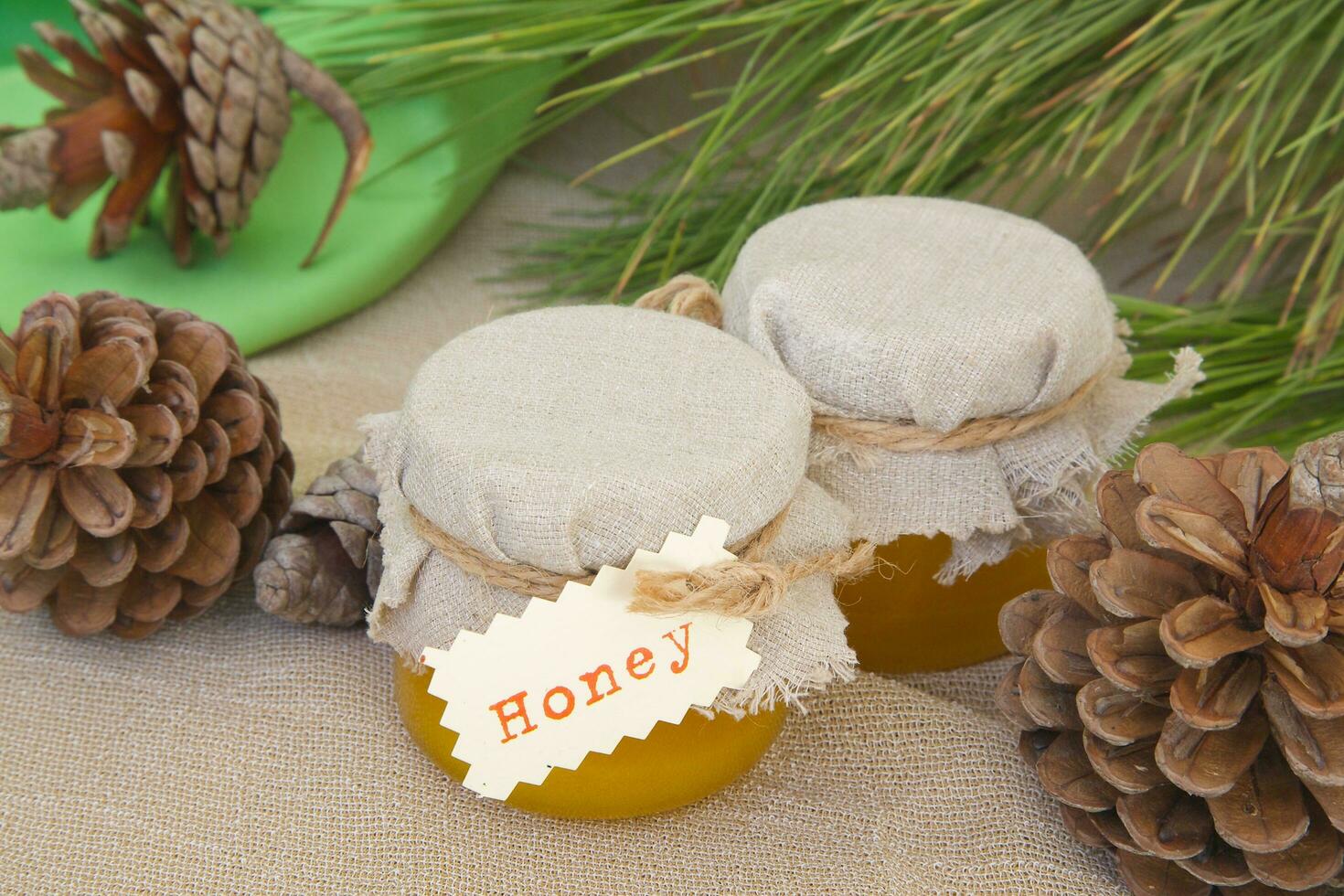 Pine tree honey photo