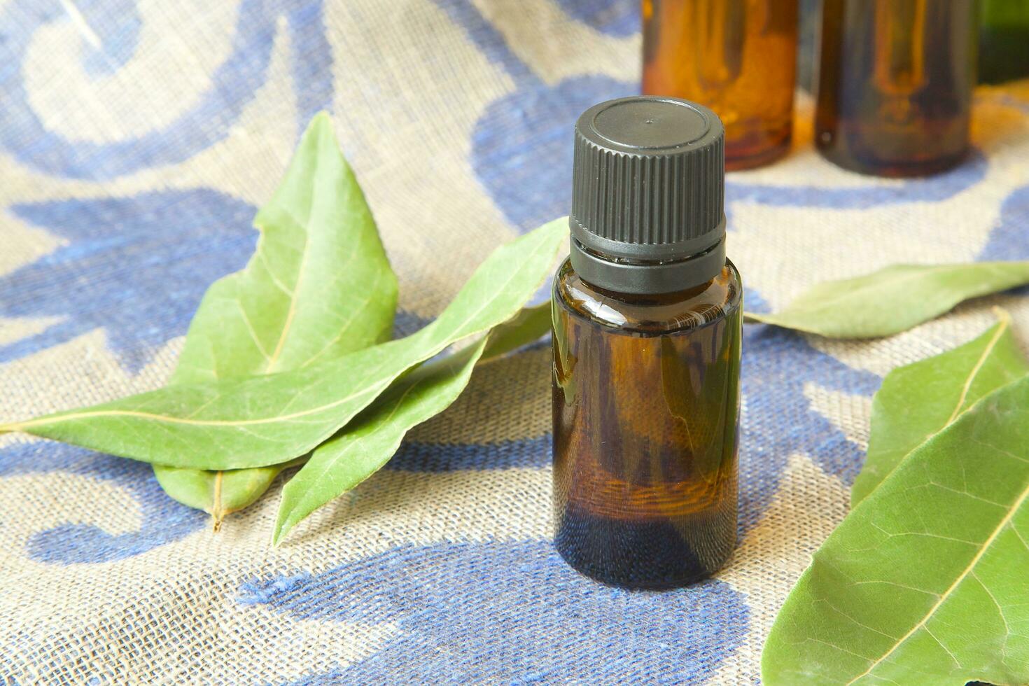 Bay leaf essential oil 26304122 Stock Photo at Vecteezy