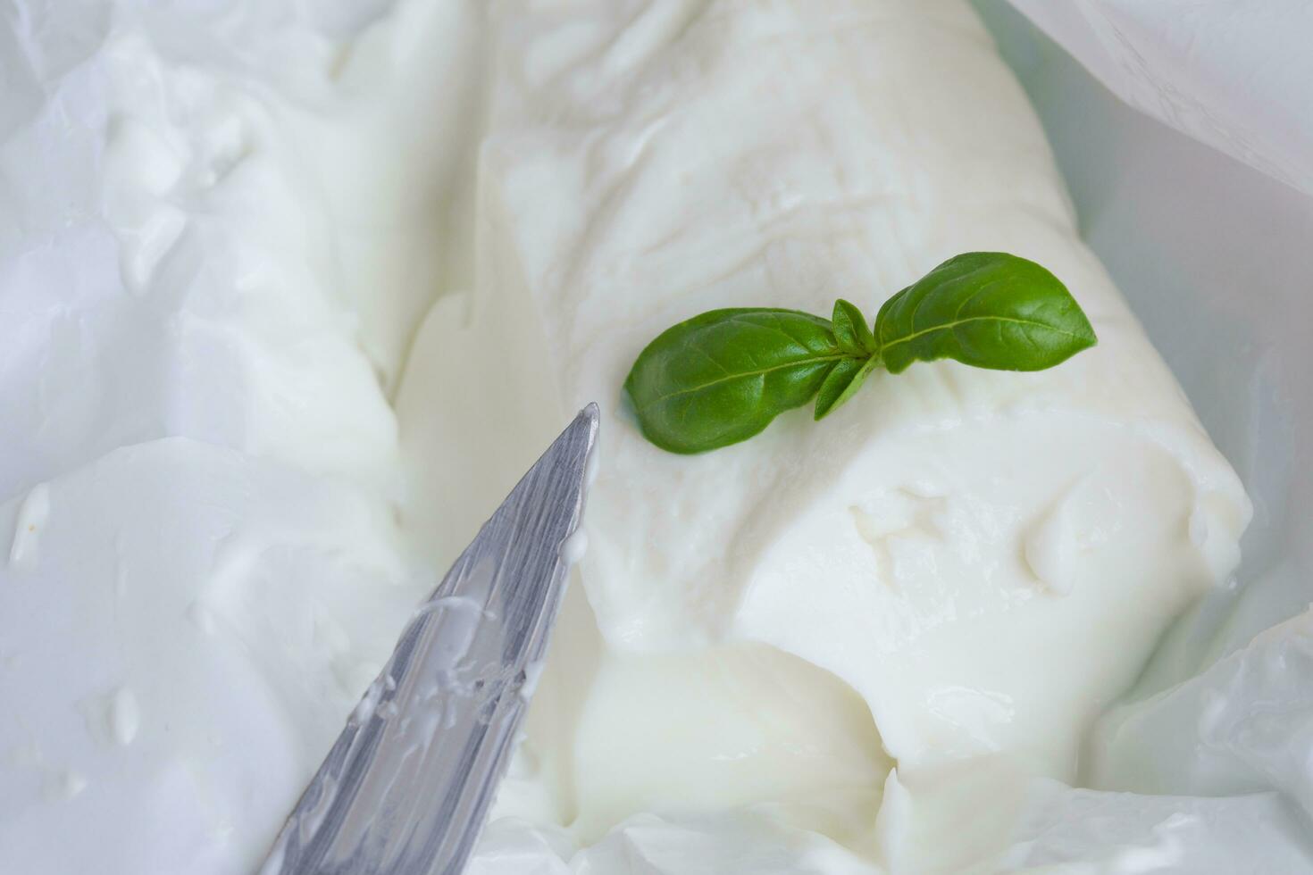 italiano queso - stracchino con basilea hojas. de cerca foto