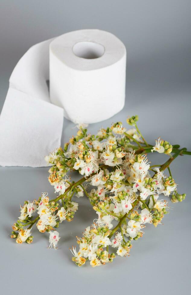 Horse chestnut flowers on a gray surface. Roll of toilet paper in the background. photo