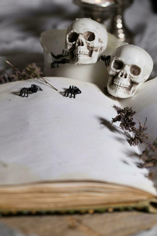 Opened book of bewitchment with free space for a text. photo