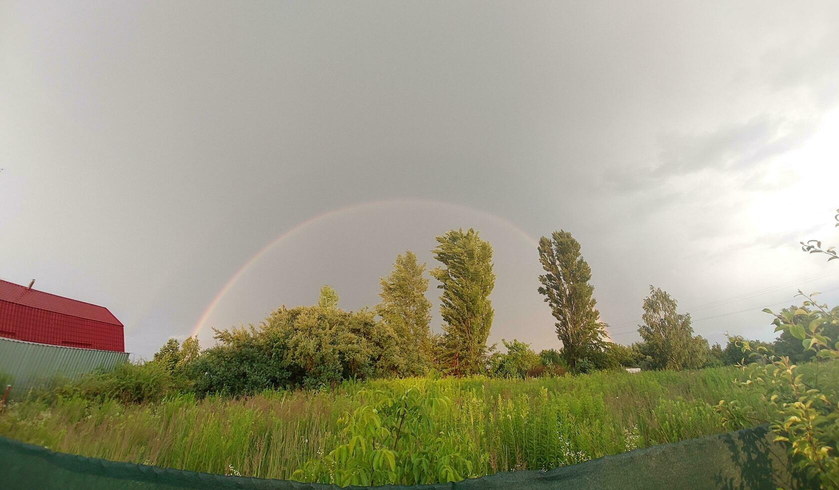 lleno arco iris después lluvia en contra el cielo foto