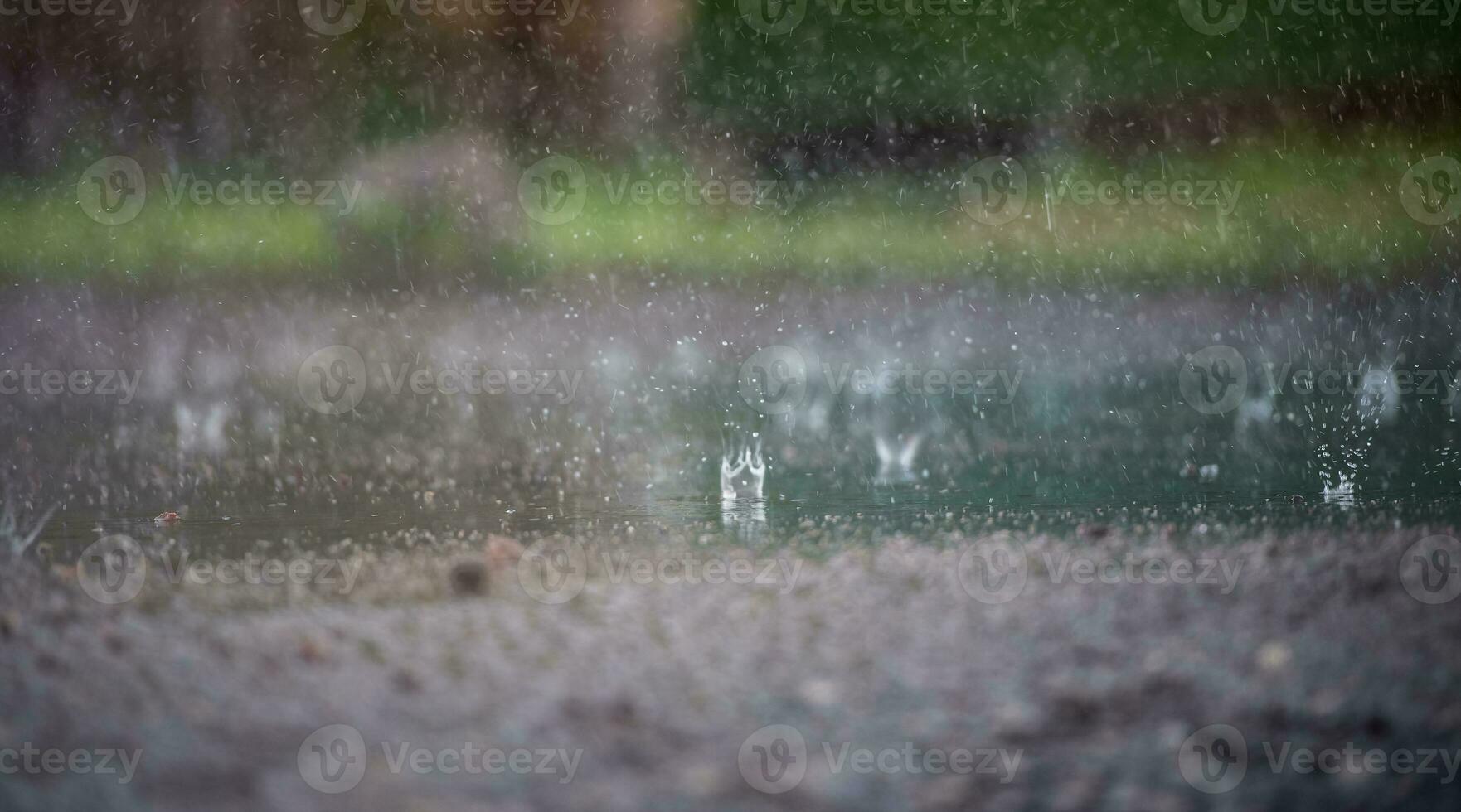 rain falls to the ground. Splashes and puddles closeup photo