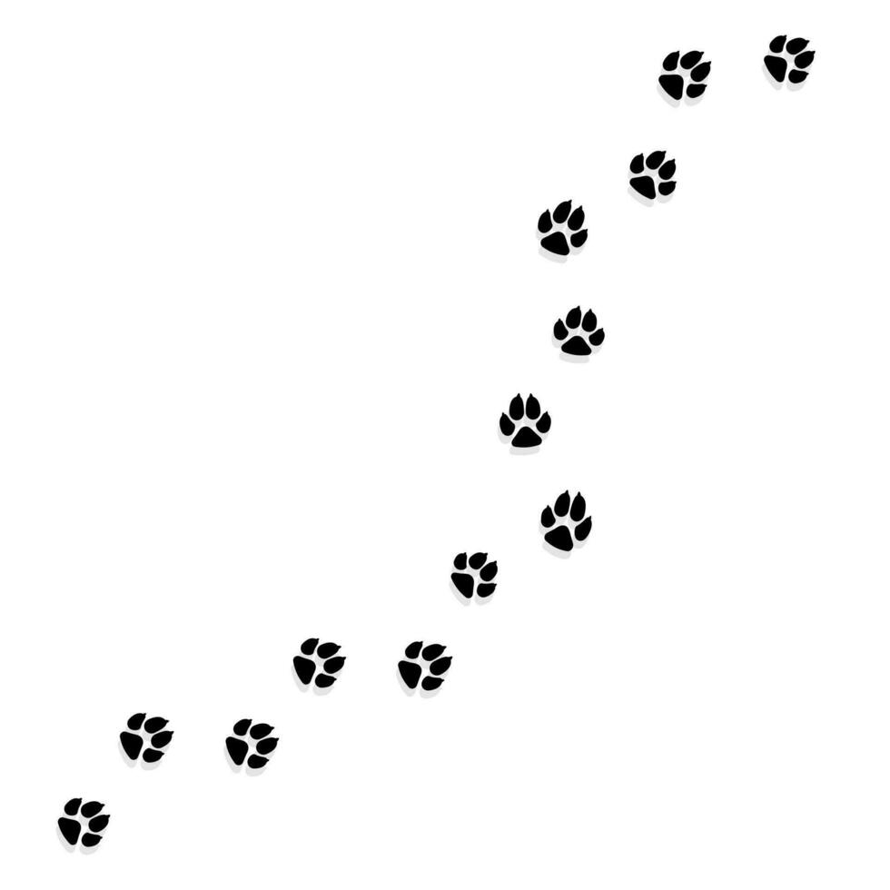 Cat or Dog Paw Print. Pets or Animals Paw Trail. Vector illustration
