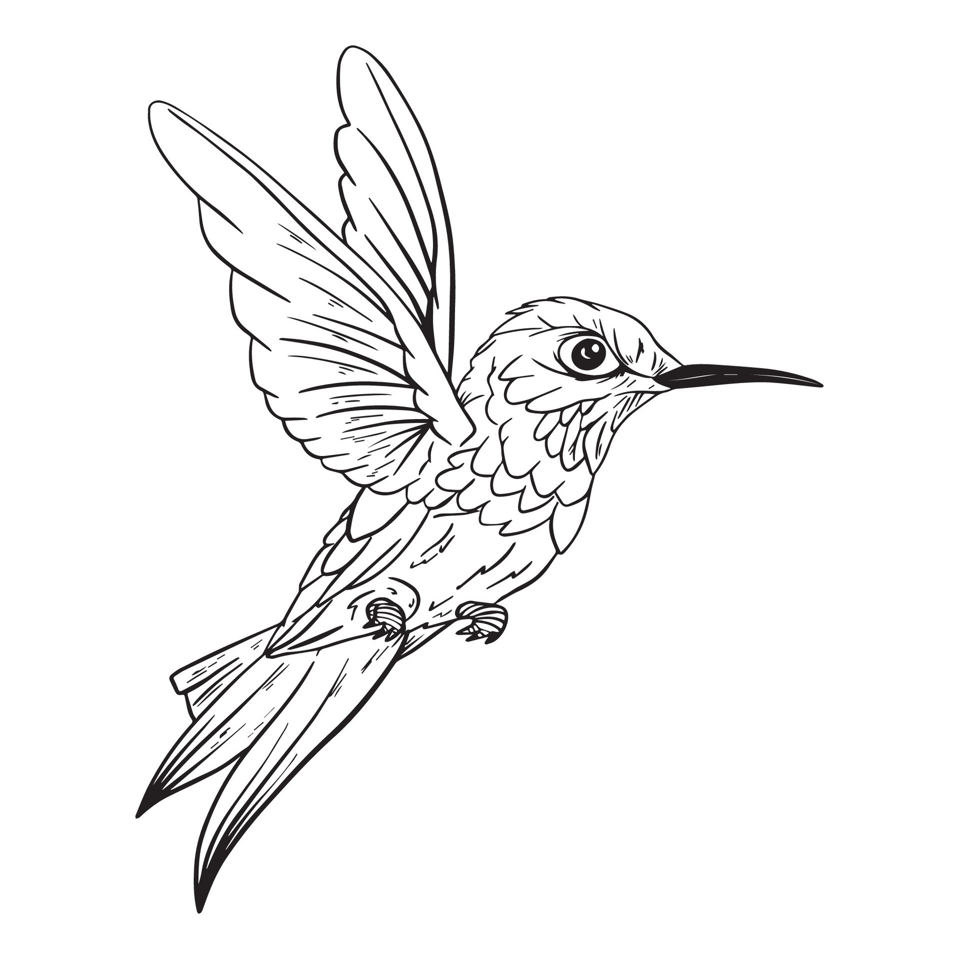 hummingbirds-outline-good-for-graphic-design-resources-stickers