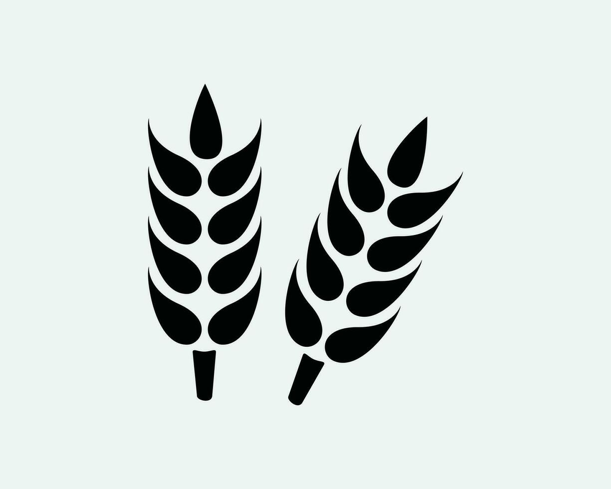 Wheat Grain Agriculture Harvest Plant Cereal Barley Seed Black and White Icon Sign Symbol Vector Artwork Clipart Illustration