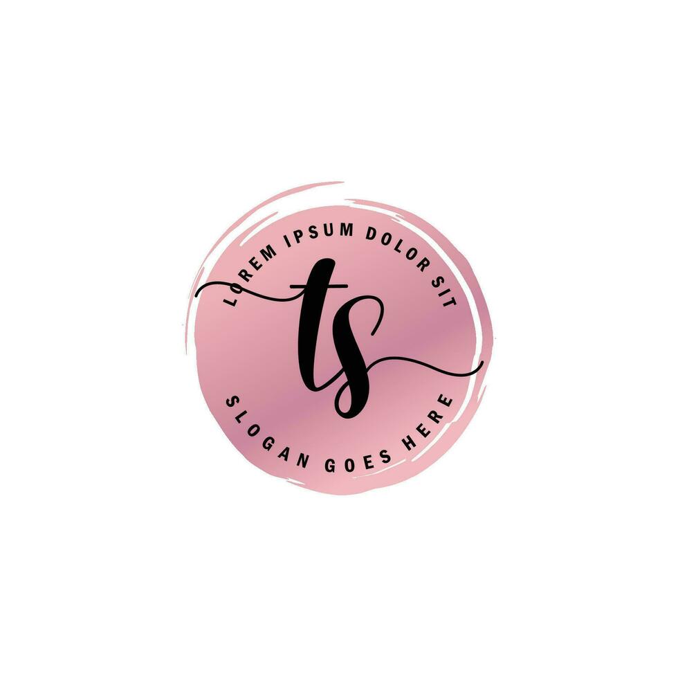 TS Initial Letter handwriting logo with circle brush template vector