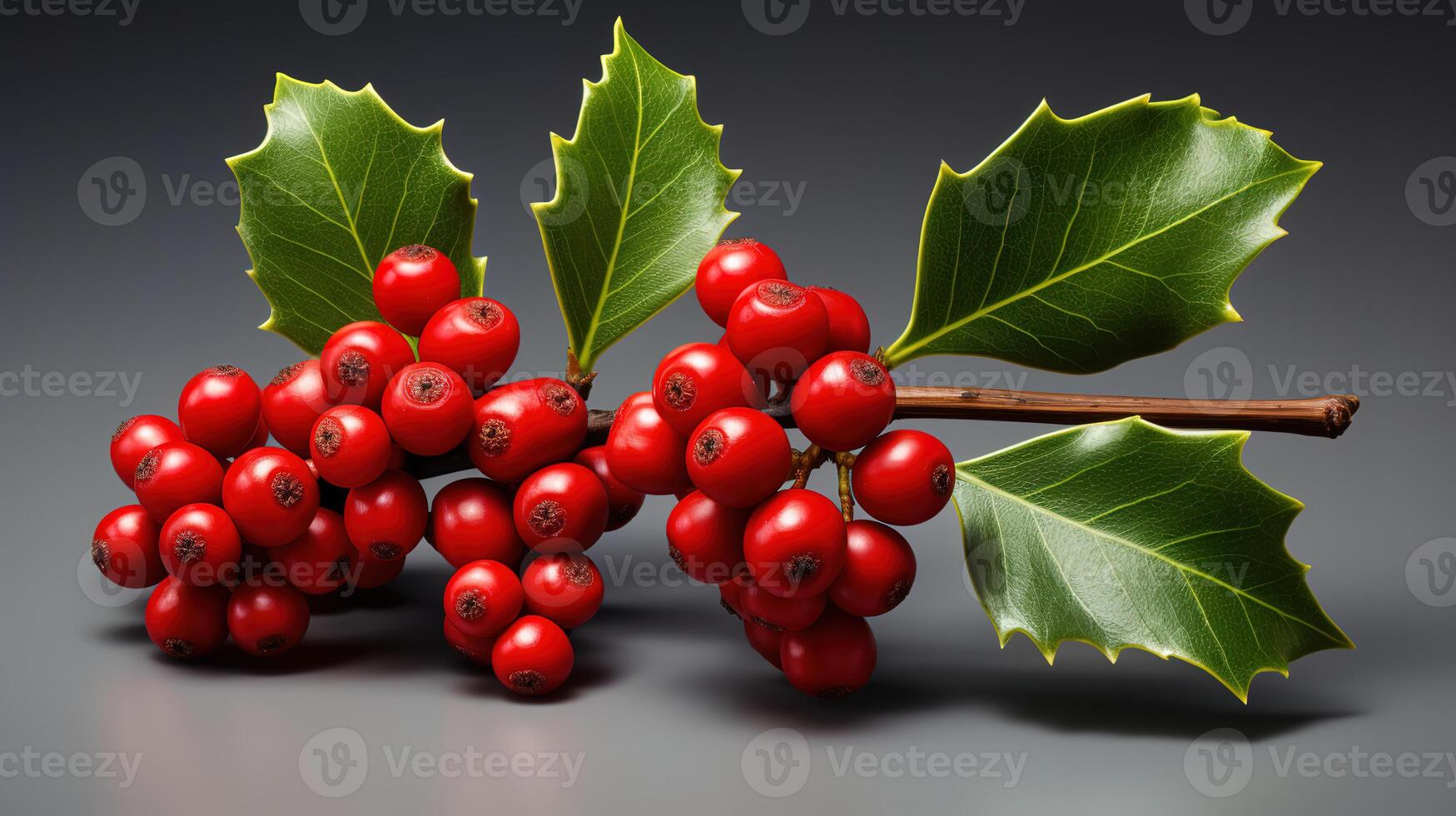Christmask holly berry ornament on white background. photo