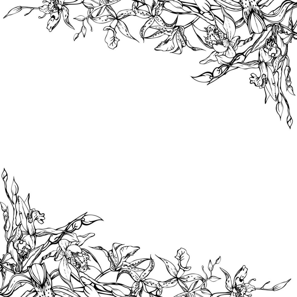 Hand drawn vector ink orchid flowers and branches, monochrome, detailed outline. Square frame composition. Isolated on white background. Design for wall art, wedding, print, tattoo, cover, card.