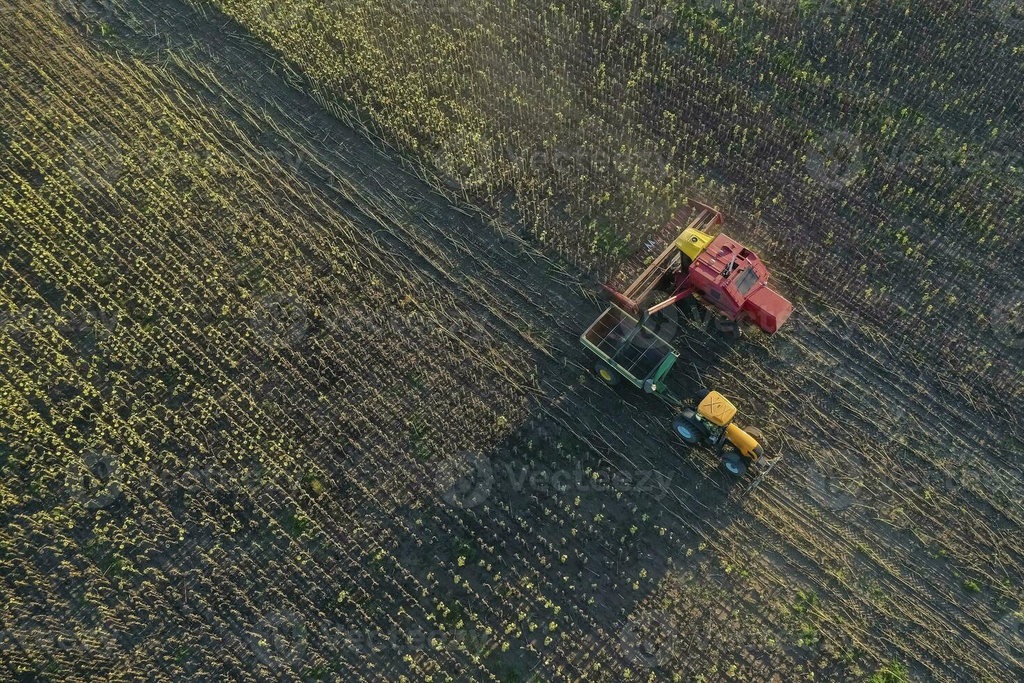 Harvester in Pampas Countryside, aerial view, La Pampa province, Argentina. photo