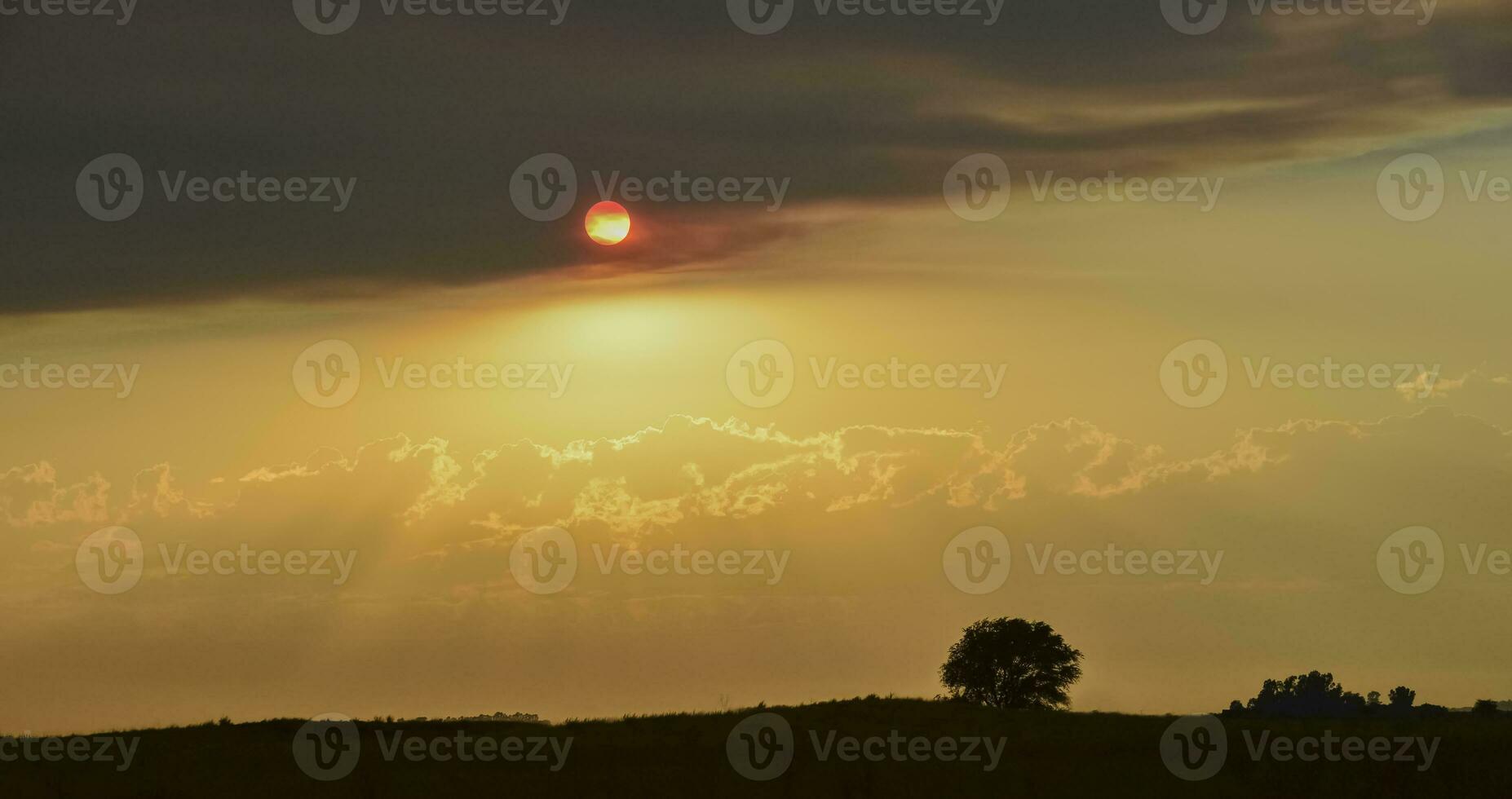 Pampas plain landscape, Patagonia,Argentina photo