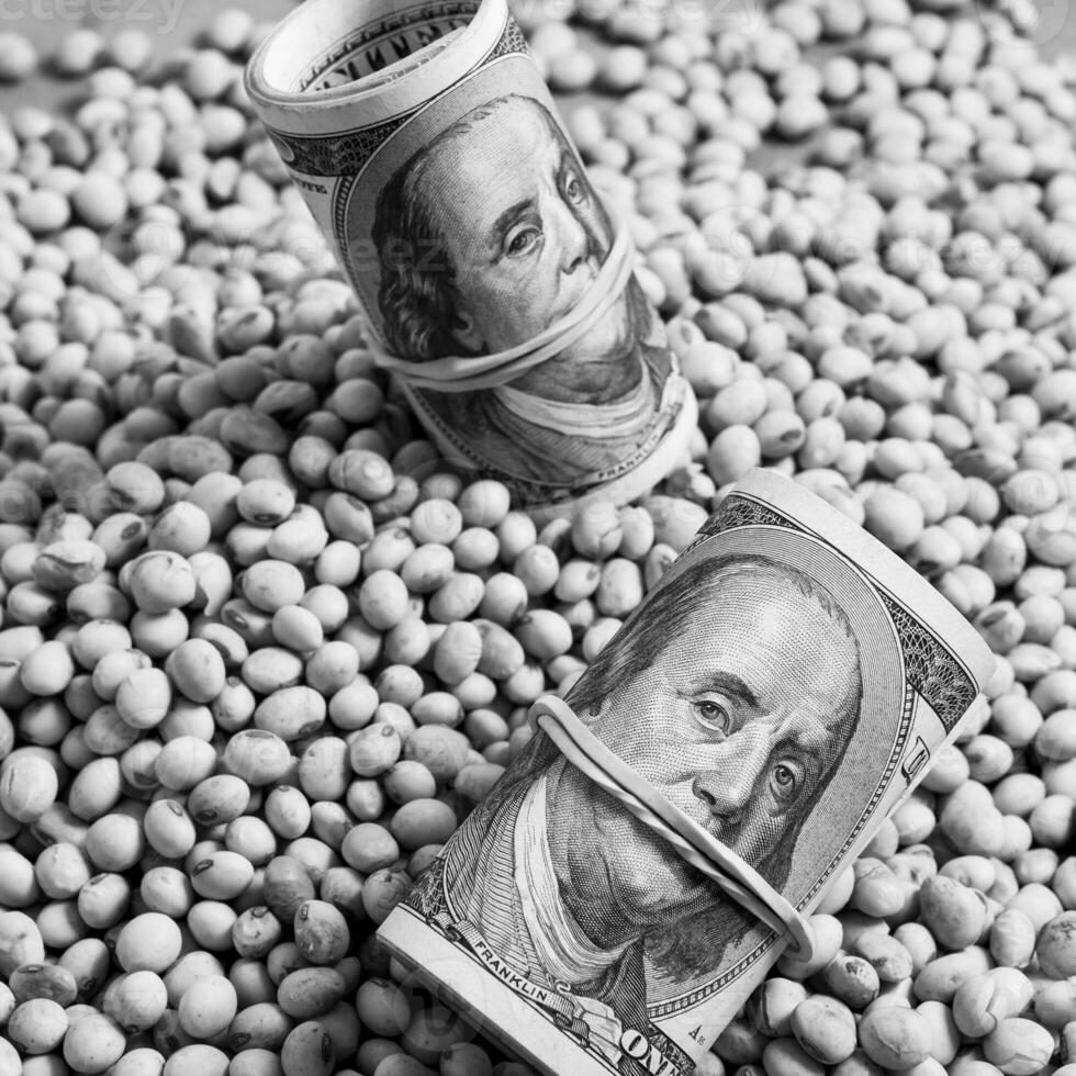 Dollars banknotes and coins and soy beans,oleaginous commoditi value concept. photo