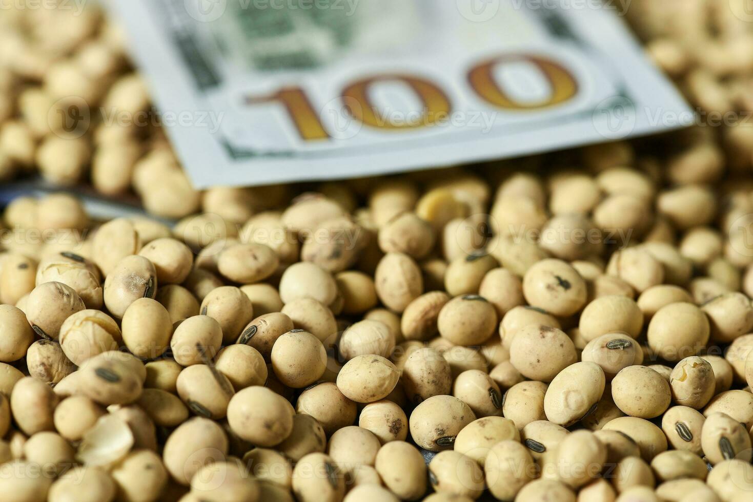 Dollars banknotes and coins and soy beans, commoditi value concept. photo