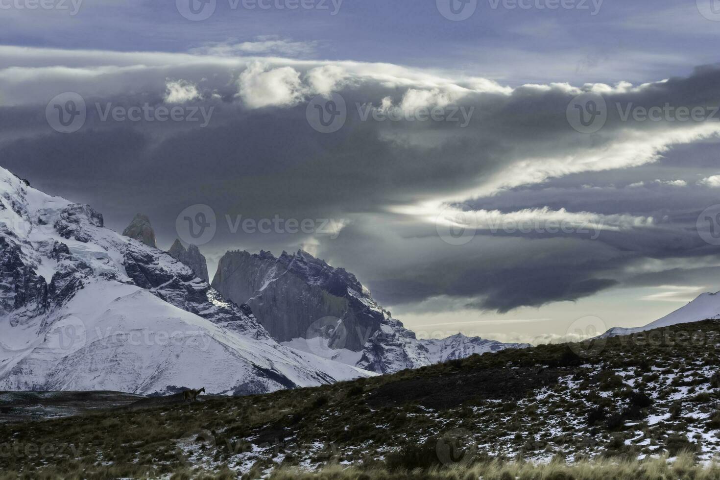 montaña paisaje ambiente, torres del paine nacional parque, Patagonia, Chile. foto