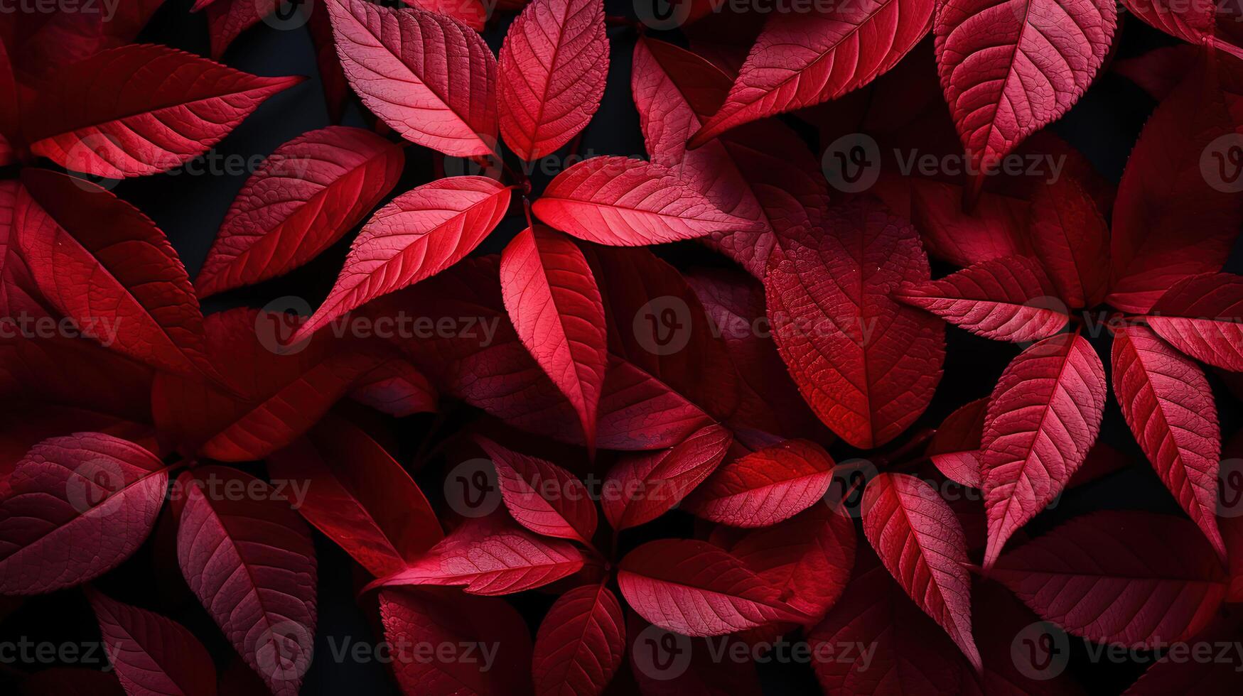 Top view paper autumn leaves arrangement. photo
