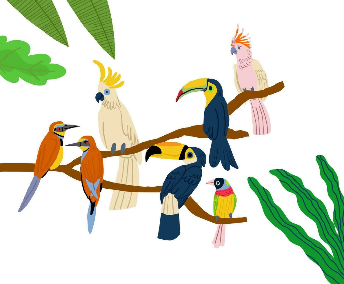 Different type of exotic birds. Vector flat cartoon graphic design illustration