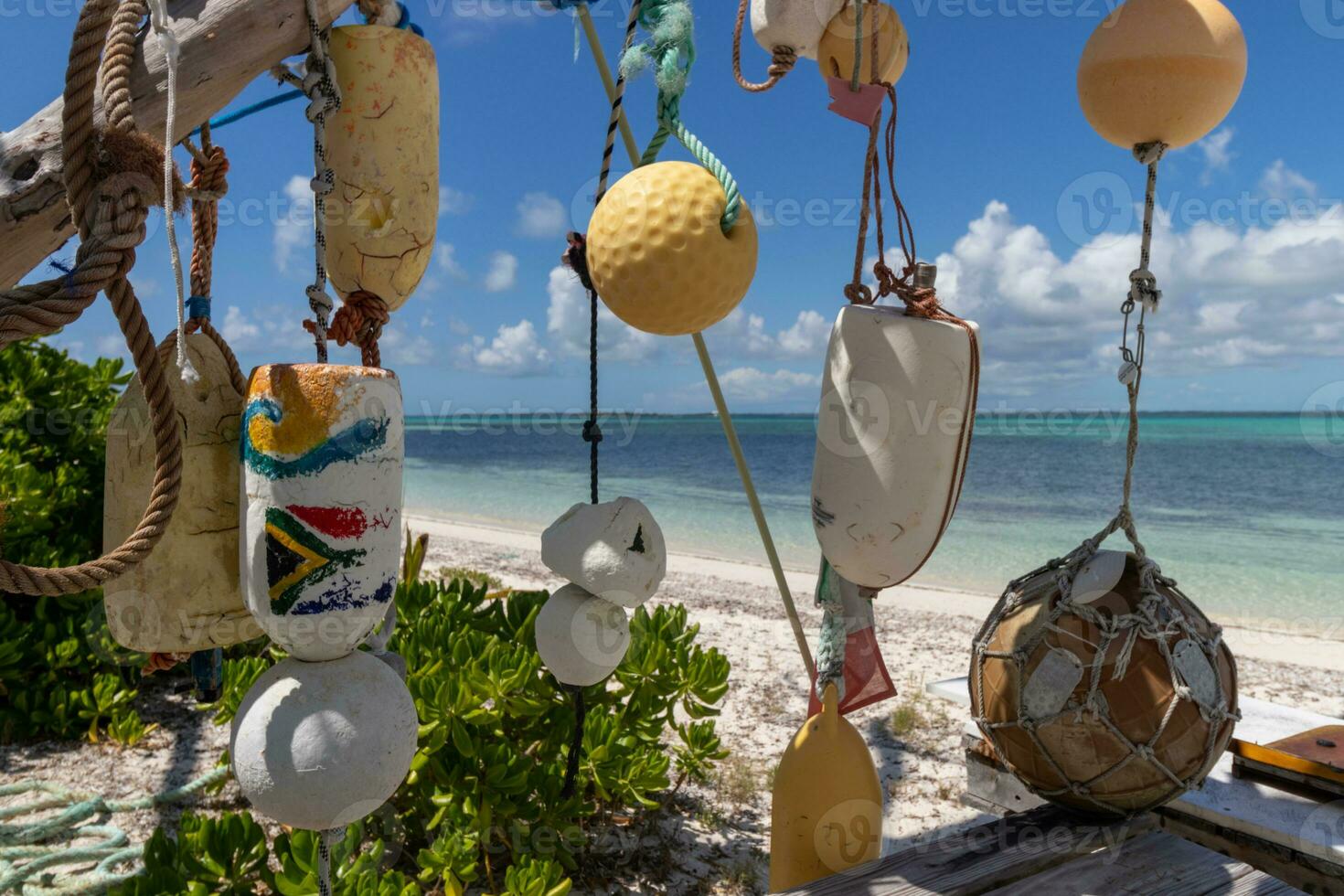 Buoys hanging from trees at Junk Beach on Tilloo Cay in Bahamas photo