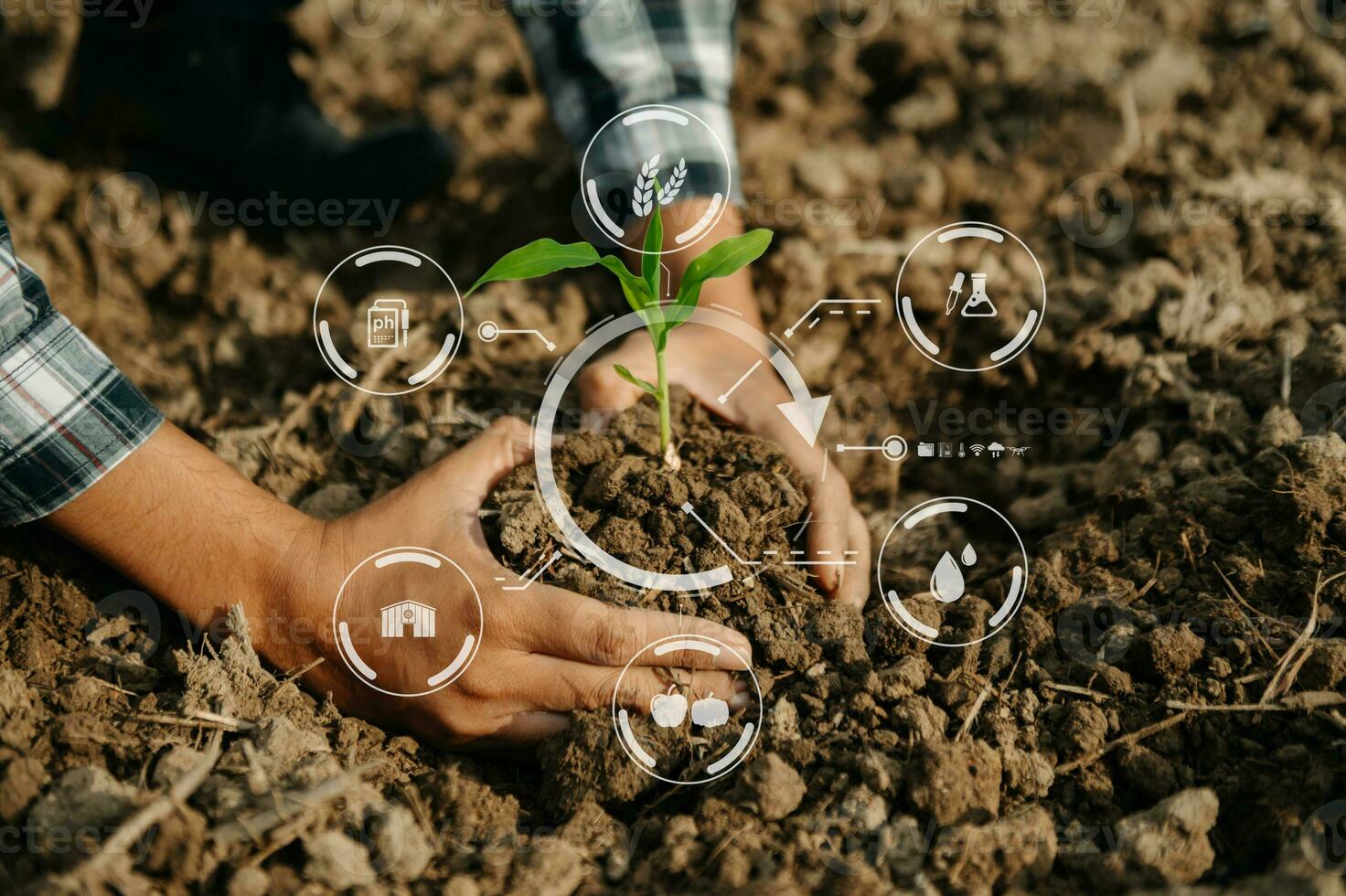 Woman hands gardening lettuce in farm  with growth process and chemical formula on green background. With icon photo