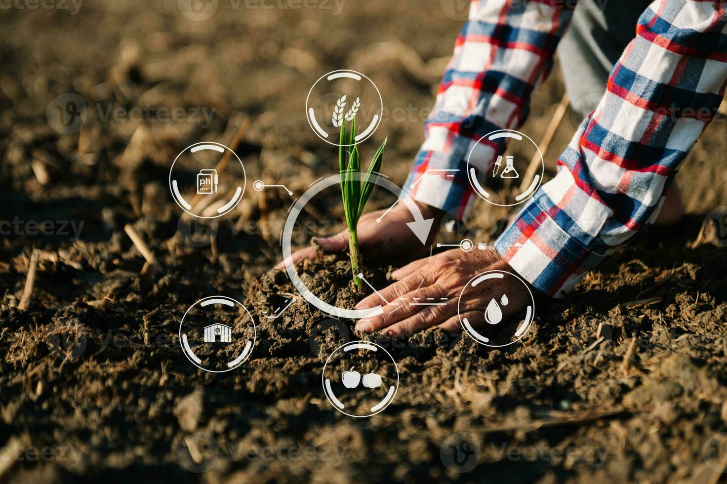 mujer da lechuga de jardinería en la granja con proceso de crecimiento y fórmula química sobre fondo verde. con icono de realidad virtual foto