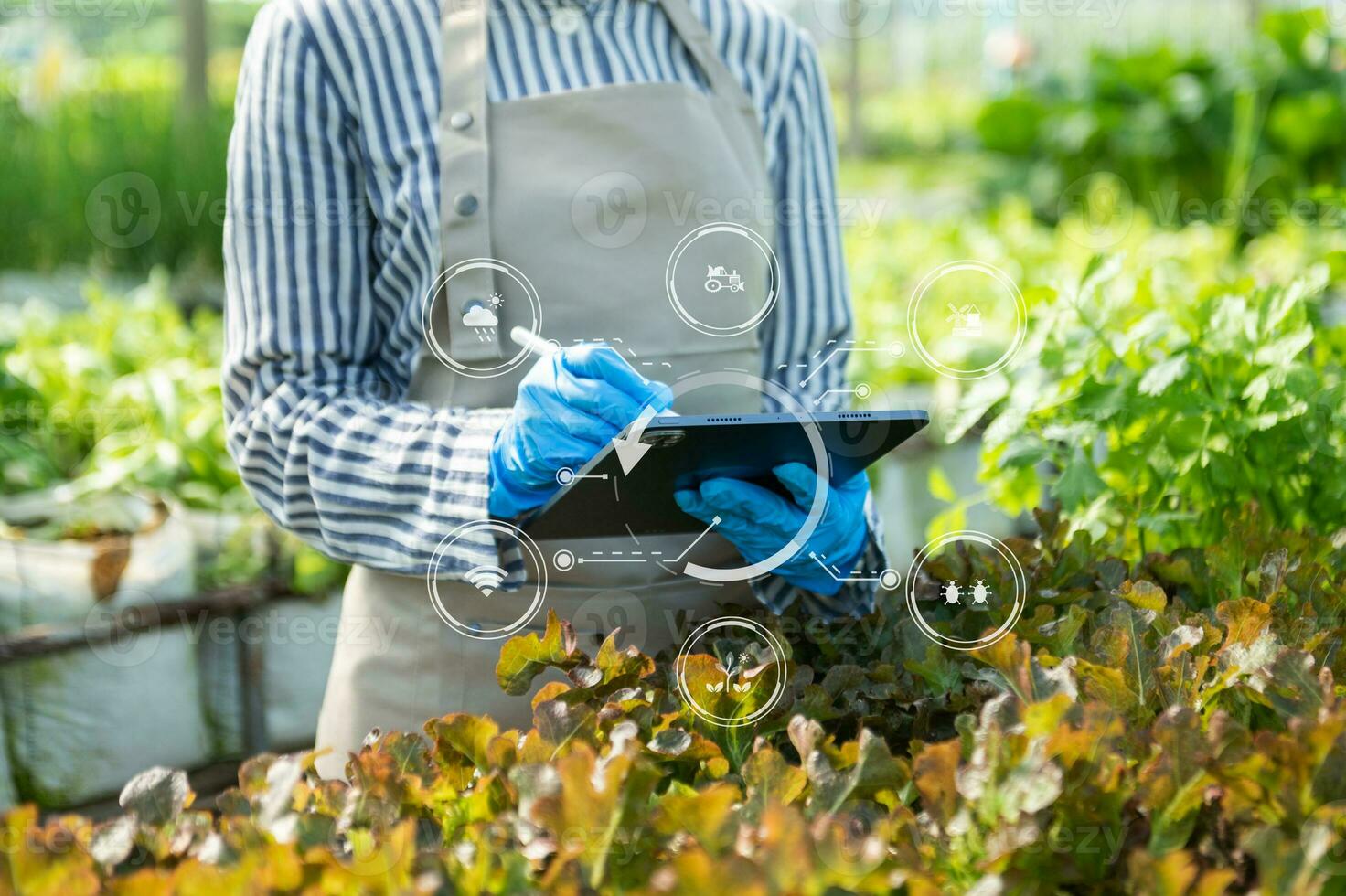 mujer manos jardinería lechuga en granja con crecimiento proceso y químico fórmula en verde antecedentes. foto